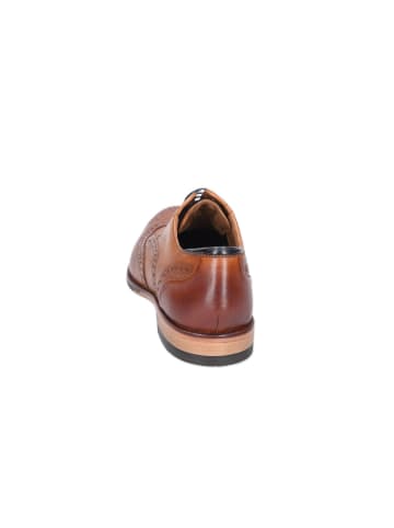 Clarks Schnürschuh Craft Arlo Limit in tan