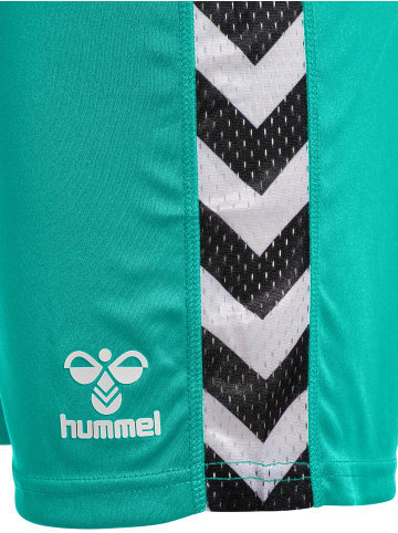 Hummel Hummel Kurze Hose Playful Shorts Erwachsene in ATLANTIS