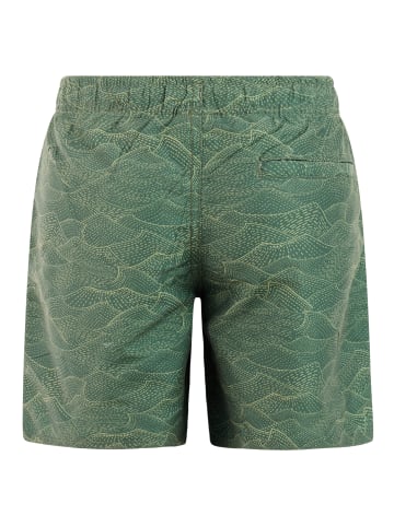 Protest " PRTFloris JR in Thyme