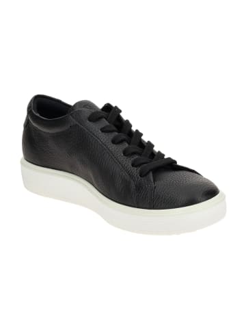 Ecco Sneaker Low in Schwarz