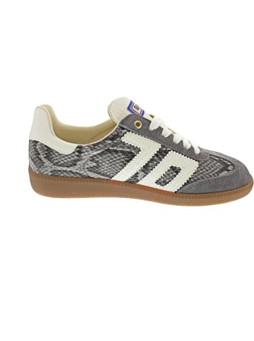 Back 70 Zebra Cloud S01 Sneaker low Grau