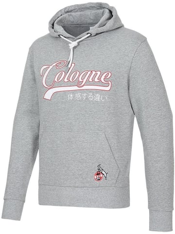 Fußballverein 1. FC Köln Pullover "Hoodie Lindenallee" in Grau