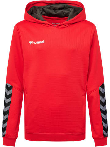 Hummel Hummel Hoodie Hmlauthentic Multisport Unisex Kinder in TRUE RED