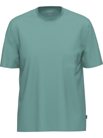 Ammann Single-Jersey Bio T-Shirt Uni in jade