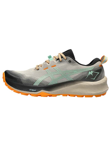 asics Laufschuh Gel-Trabuco 12 in grau / mint