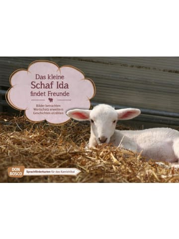 Don Bosco Kinderbuch - Das kleine Schaf Ida findet Freunde. Kamishibai Bildkartenset.