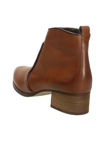 Paul Green Klassische Stiefeletten in Braun