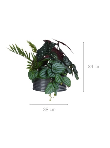 Home&Styling Collection Kunstpflanze Begonia maculata in Grün, 28 cm