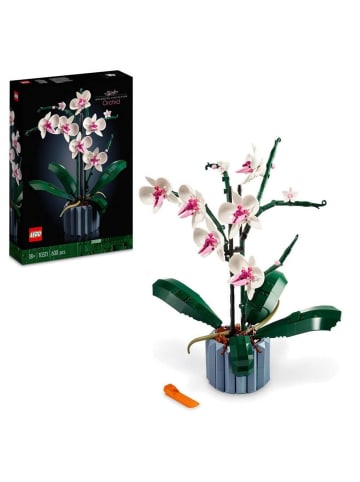 LEGO Icons Orchidee in Mehrfarbig ab 18 Jahre