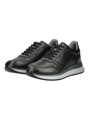 Nero Giardini Sneaker in Schwarz