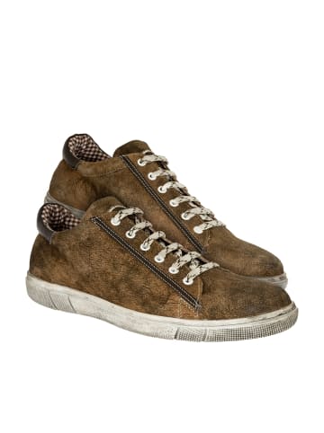 MADDOX Schuhe SIEGFRIED in nappato wood - braun