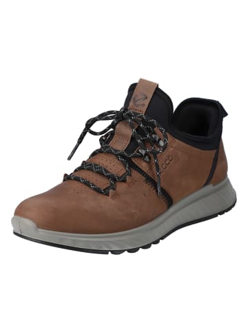 Ecco Outdoorschuh Exostride M in cocoa brown