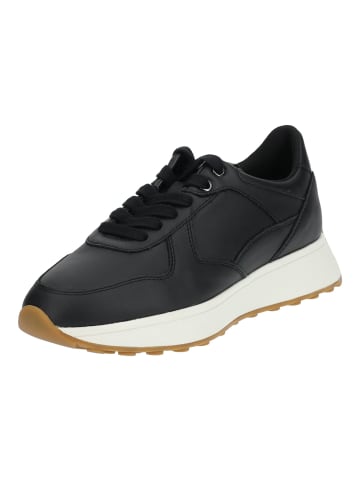 Geox Sneaker in Schwarz