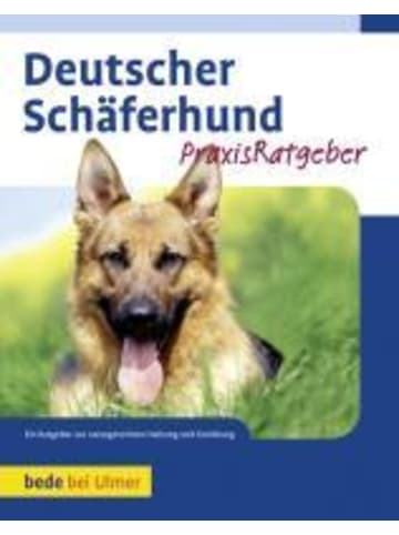Ulmer Deutscher Schäferhund