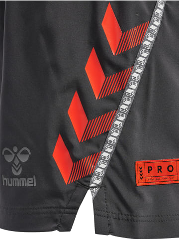 Hummel Hummel Shorts Hmlpro Multisport Damen Feuchtigkeitsabsorbierenden in FORGED IRON