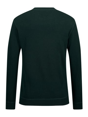 JP1880 Pullover in tannengrün