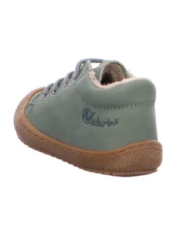 Naturino Schnürschuhe in Grün
