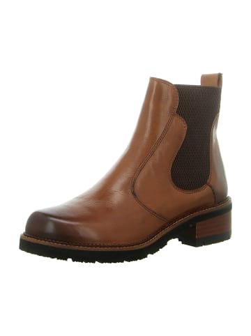 Everybody Chelsea Boots in Braun