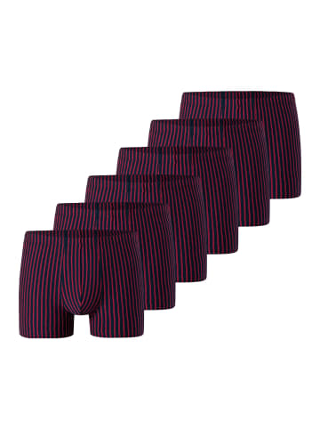 Schiesser Retro Short / Pant 95/5 Essentials Organic Cotton in Rot