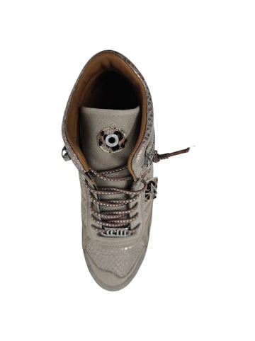 Cetti Sneaker high  in Beige