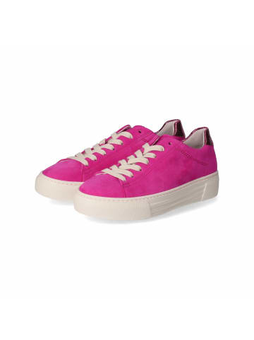 Gabor Low Sneaker in Pink