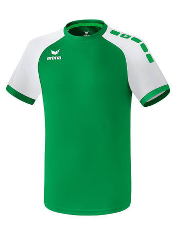 erima Zenari 3.0 Trikot in smaragd/weiss