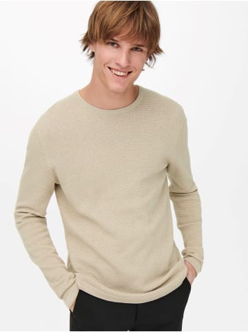 Only&Sons Dünner Langarm Strickpullover Rundhals Basic Sweater ONSPANTER in Beige