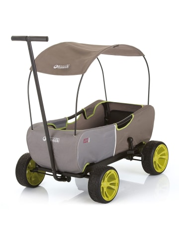 Hauck Toys Bollerwagen Eco Mobil Forest Green - faltbar mit Dach in grau,beige