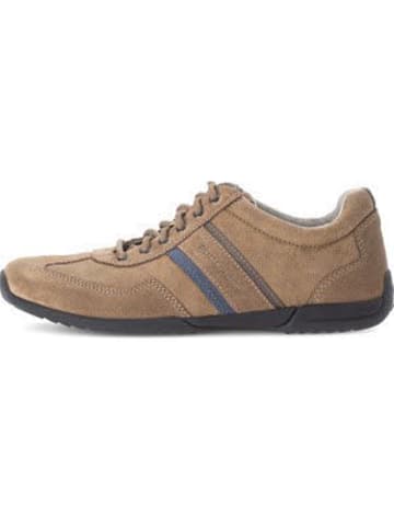 Gabor Sportlicher Schnürschuh in braun