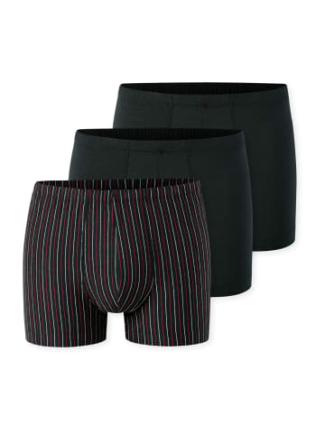 Schiesser Trunk 95/5 Essentials in sortiert 3