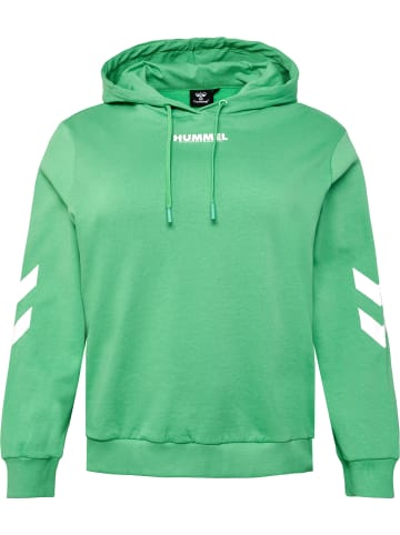 Hummel Hoodie Hmllegacy Woman Hoodie Plus in GREEN SPRUCE