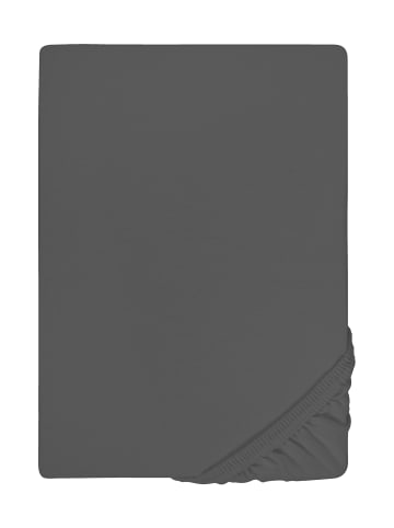 Biberna Spannbetttuch Jersey-Elastic in titanium