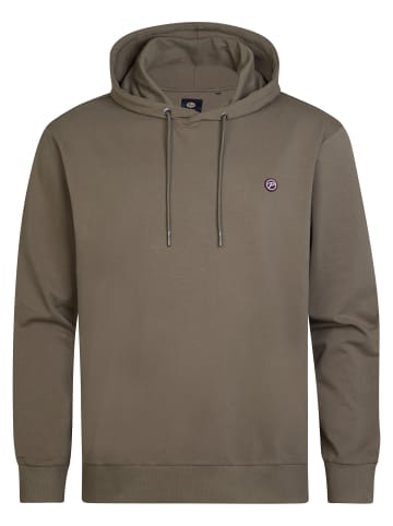Petrol Industries Bequemer Hoodie Greenbay in Grün