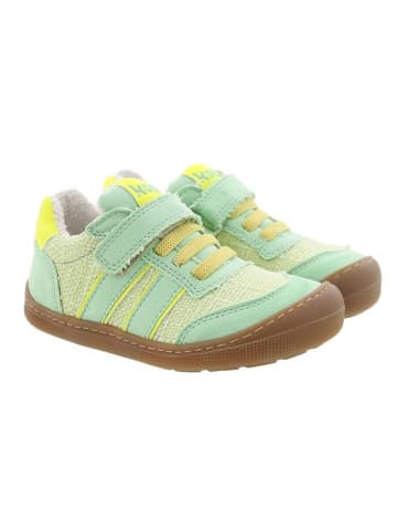 KOEL Mädchen Halbschuhe  in Grün