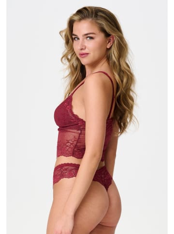 LINGADORE DAILY Bralette Ruby wine