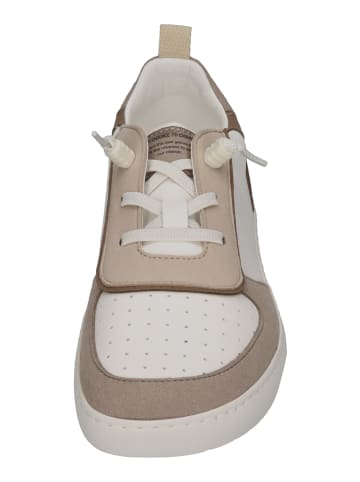 Muris Sneaker Low Nuuk Junior  in grau