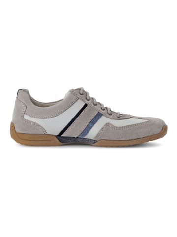 Pius Gabor Sneaker in Hellgrau