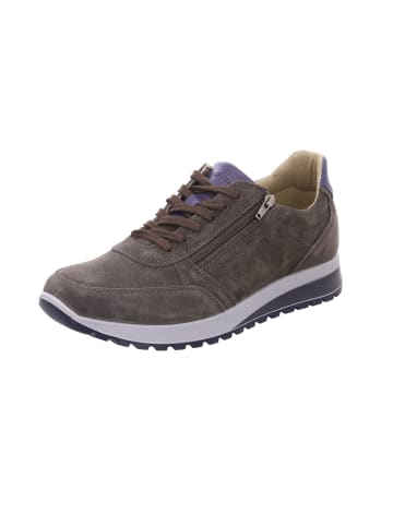 ara Freizeit Schnürer für Herren in braun