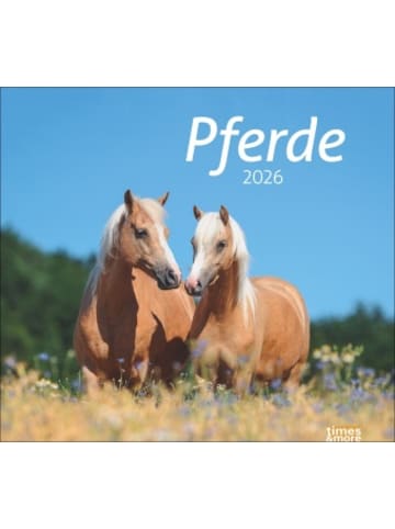 Heye Kalender Kalender - times&more Pferde Bildkalender 2026