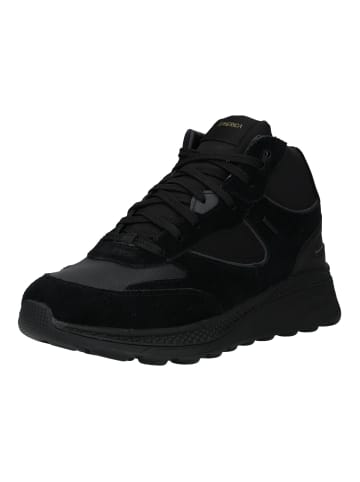 Geox Sneaker in Schwarz