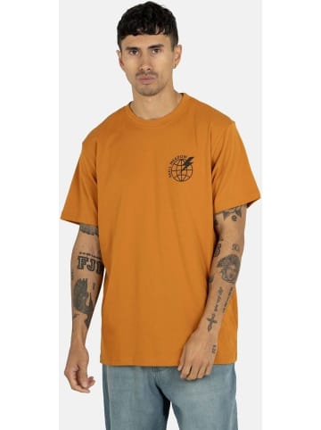 Reell T-Shirt "Meadow Logo T-Shirt" in Orange