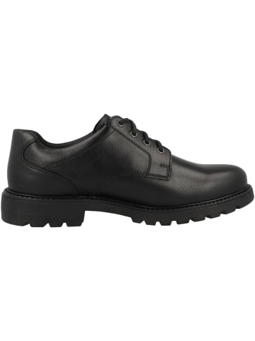 Pius Gabor Schnürschuhe 0401.50 in schwarz