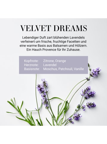 Butlers Raumduft No 3 "Velvet Dreams" 250ml HOME & SOUL in Transparent