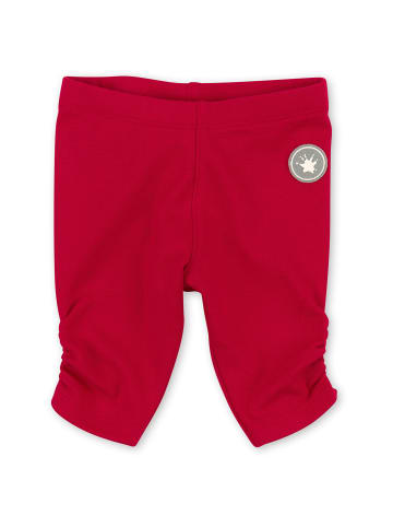 Sigikid Capri Leggings Pink Horses in rot