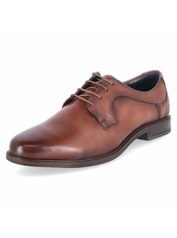 Josef Seibel Schnürhalbschuh in braun