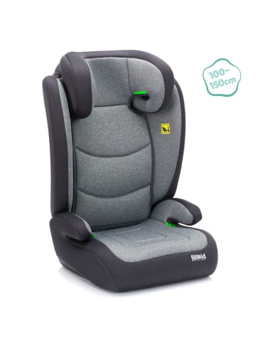 fillikid Autositz Lea in Grau