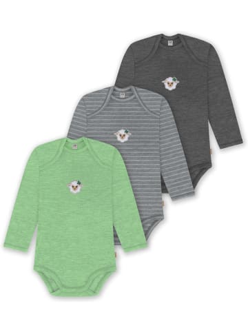 Normani Outdoor Sports 3er Pack Baby Merino Body Langarm Auckland in Anthrazit/Grau/Grün