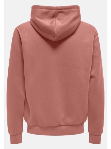 ONLY & SONS Sweatshirt / Hoodie Ceres in Ash rose