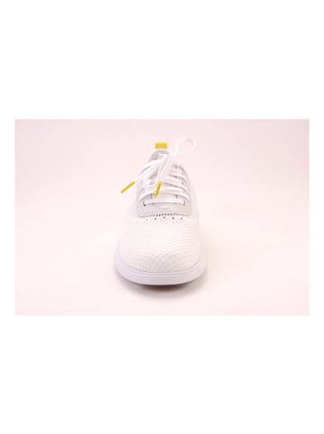 Cole Haan Sneakers W16579 in Weiß