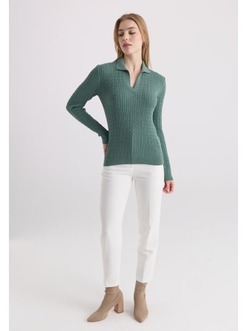 Felix Hardy Pullover in Grün